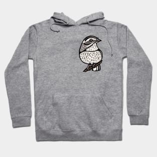 Northern Waterthrush Hoodie